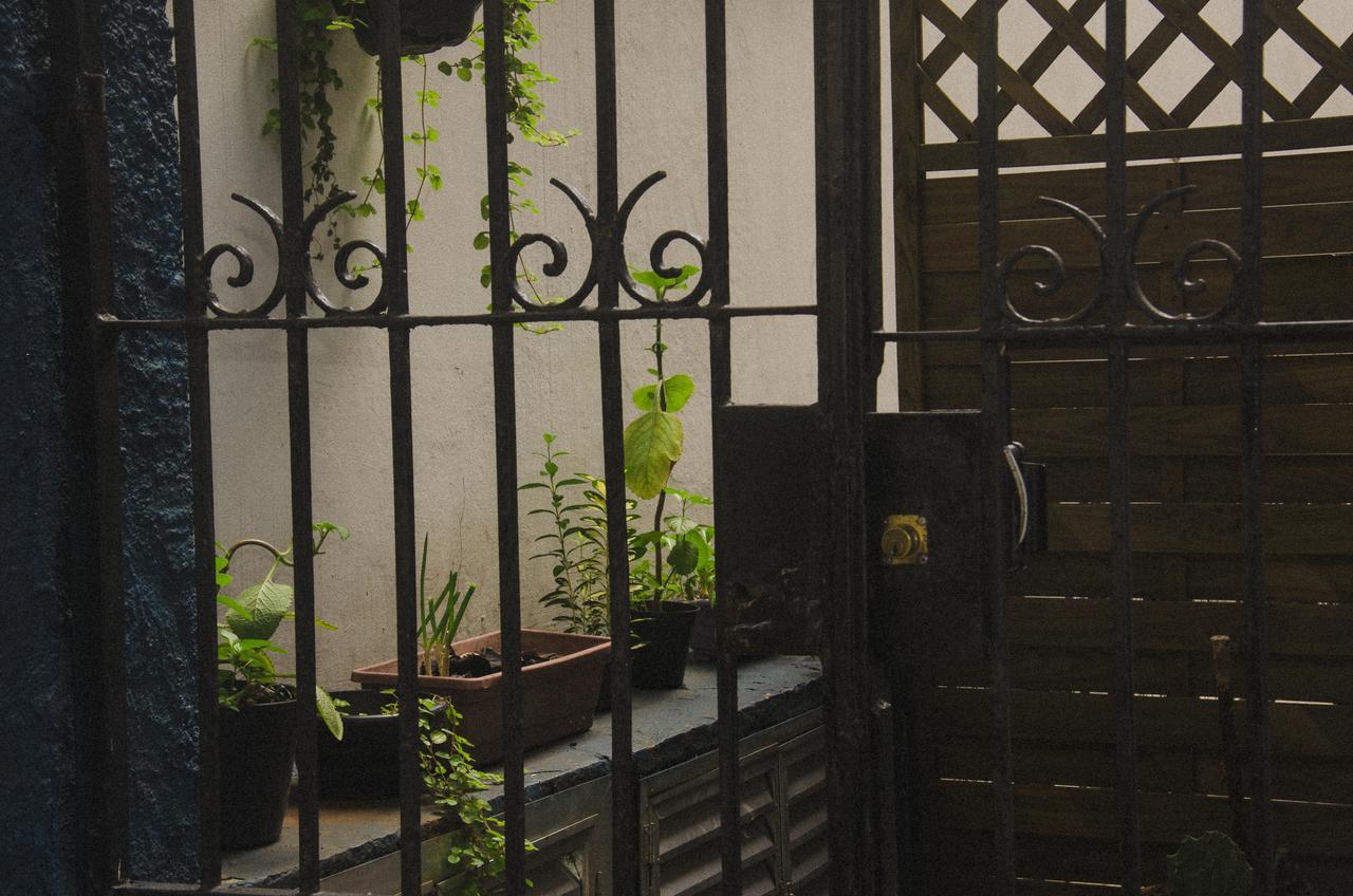 The Backpacker Cat Hostel Rio de Janeiro Esterno foto